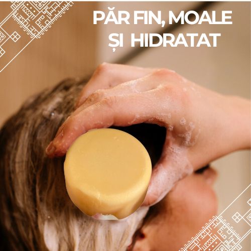 1 x Set Orisi | Șampon & Balsam pt păr și scalp sănătos